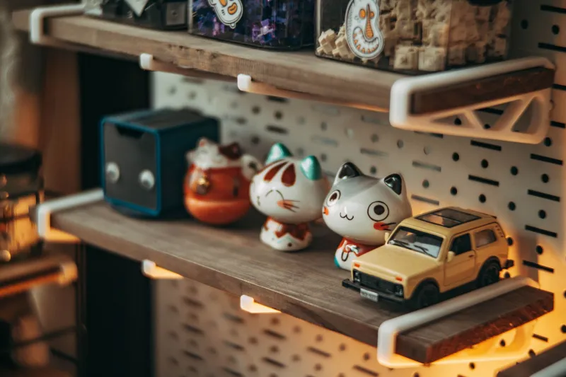 Glass Cases and Grow Lights: How Collectors Are Turning Their Shelves Into Shrines