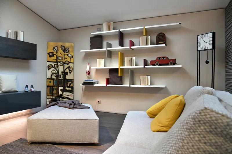 My Shelf, My Rules: Surviving the Collection vs. Cohabitation Standoff