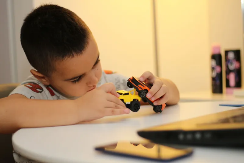 So You Spent $500 on a Four-Inch Toy: A Survival Guide for Explaining Your Collection to Family